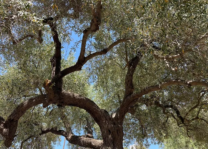 Sto Spiti Limani 度假居 *