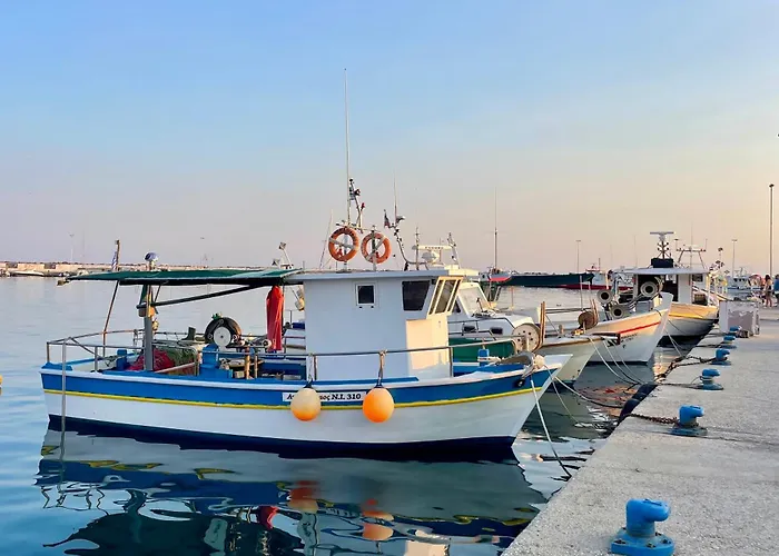 Sto Spiti Limani 尼尔斯吉尼